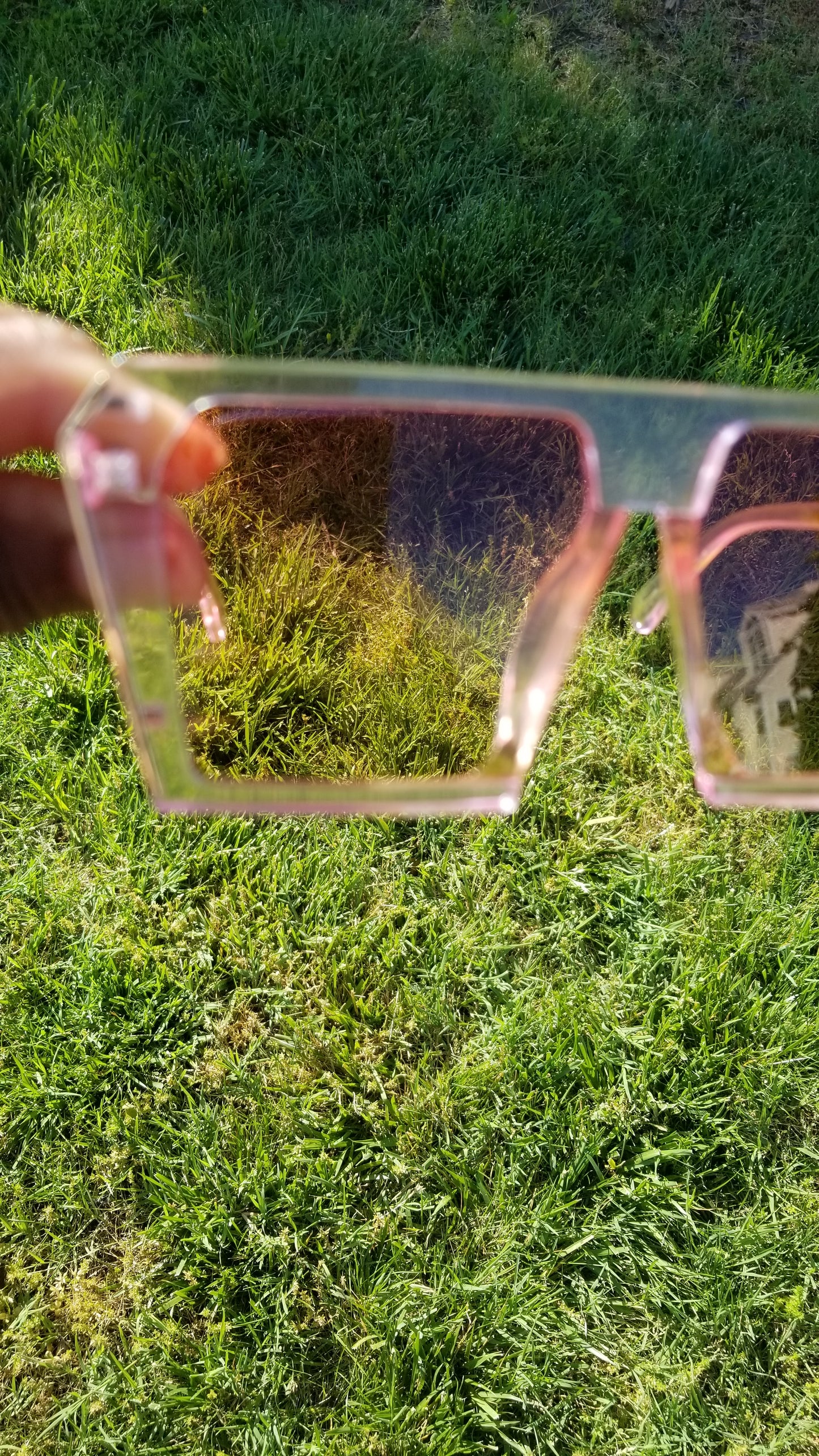 Tommy - Flat Pink Gradient SunShades